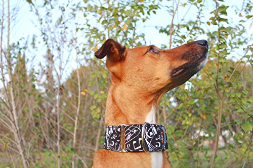 candyPet® Martingale Dog Collar - Music, S