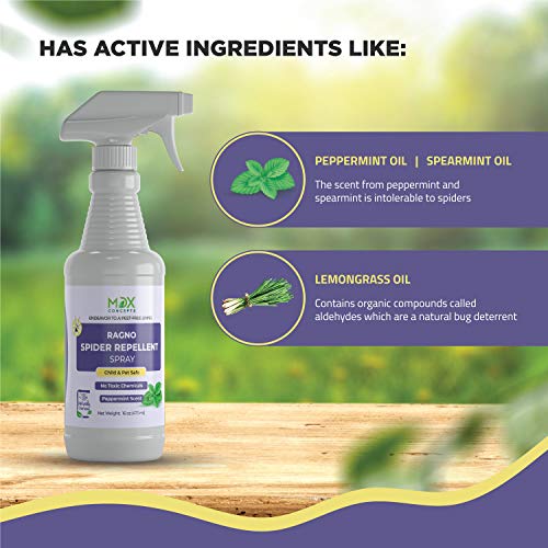 mdxconcepts Organic Spider Repellent Spray - Peppermint Oil - MADE IN USA - 16oz Natural Outdoor/Indoor Spray for Spiders, Insects and More - Long Lasting -Non Toxic - Thumbnail 4