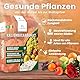 LERAVA® Kaliumbicarbonat – 250g - Natürliches Fungizid für Pflanzen gegen Mehltau & Pilzbefall | pH-Regulator für Boden & Pflanzen | Ideal für Obst, Gemüse & Garte, Wasserlöslich & Effektiv - Pilzfrei