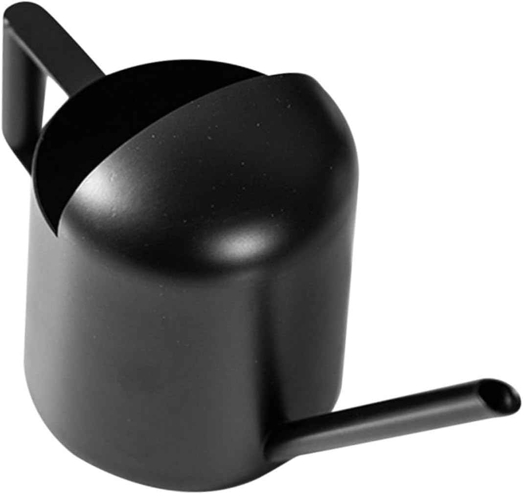 300ml Stainless Steel Watering Kettle with Long Spout