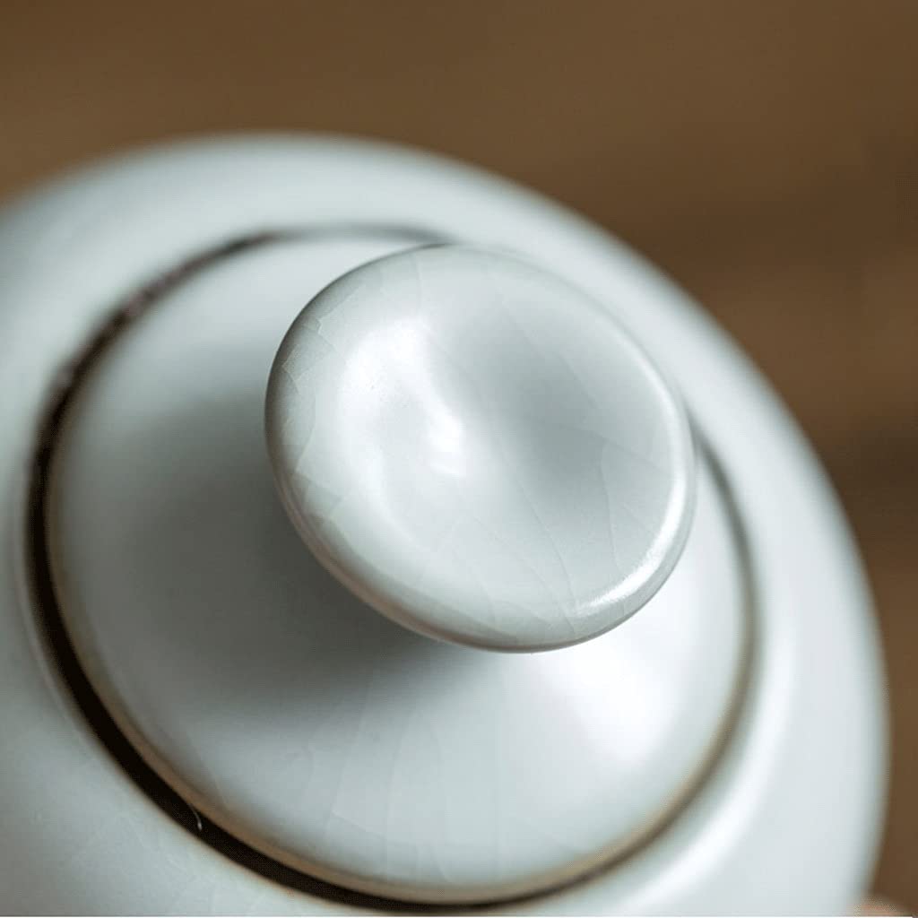 Cucina in Ceramica Contenitore per Alimenti Set da Due Pezzi Barattolo per Alimenti con Coperchio Contenitore per tè, caffè, Zucchero
