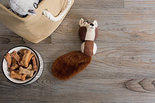 Bone Dry Squeaky Plush Pet Toy Collection, Ball, Squirrel & Raccoon, 2, Piece #TOP6