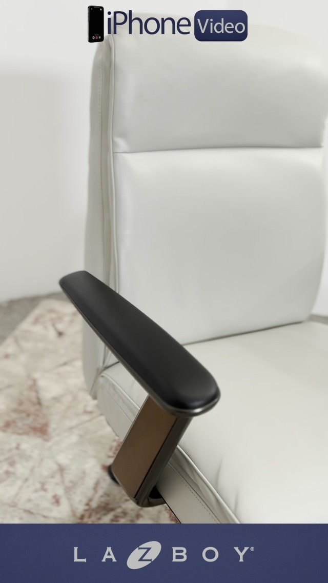 Amazon.com: La-Z-Boy Dawson Modern Executive Office