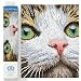 Produktbild DIAMOND DOTZ DD6.029 - Original 5D Diamond Painting Set Katze mit grünen Augen, Kreativset mit 11.904 Diamant Mosaiksteinen, Malset 35 x 27 cm, DIY Komplettset für Erwachsene und Kinder, Mittel