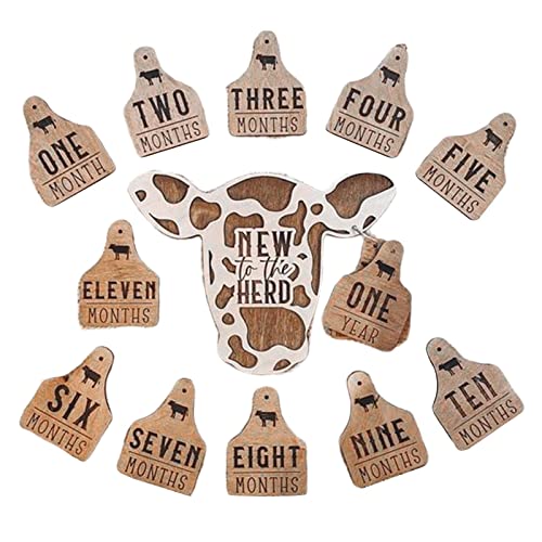 Image of DaMga Highland Cow Baby Monthly Milestone, 13 Pcs Wooden Baby Milestone Cards, Baby Months Signs to Month Set, Cow Babies Gift New to The Herd