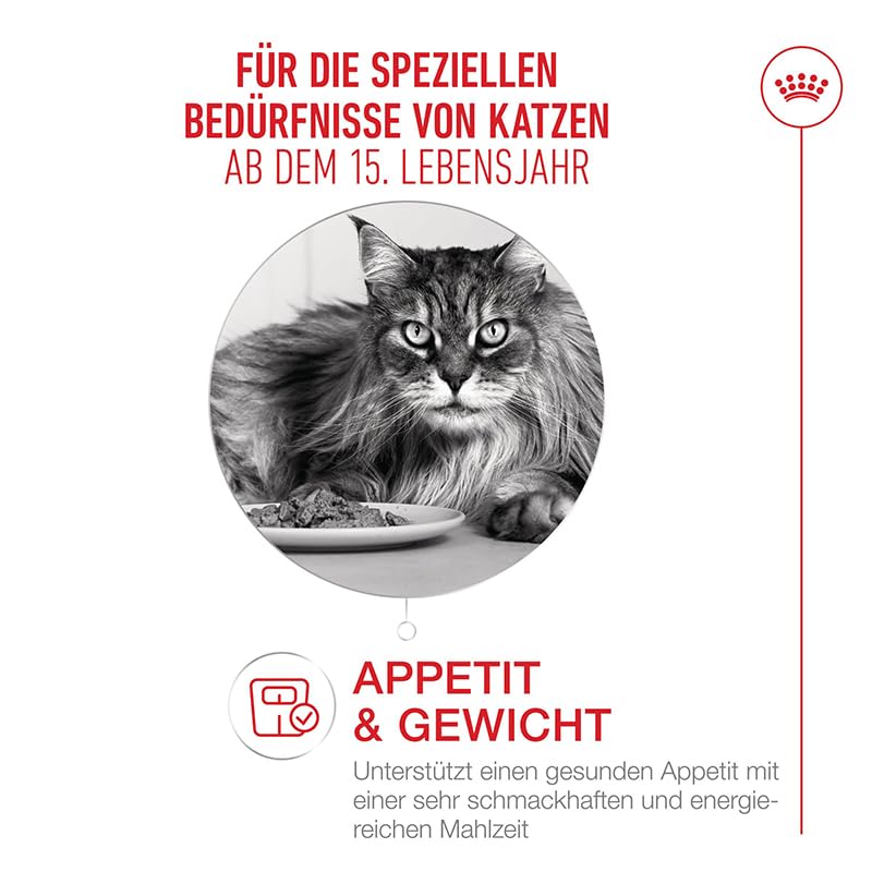 ROYAL CANIN AGEING 15+ Gravy | 12 x 85 g | Nassfutter für Katzen ab dem 15. Lebensjahr | Stückchen in Soße