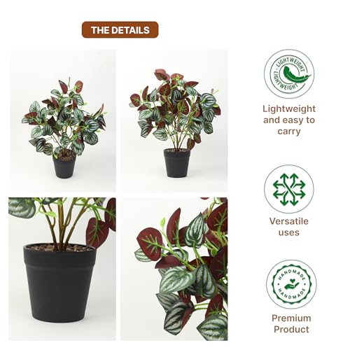 Image of Habere India-All the Cultures Fabricating India Artificial Plant with Pot for Home Decor | Fake Plants for Living Room Decoration | Artificial Plants for Decoration (Design 02; L24 x W25 X H38 cm)
