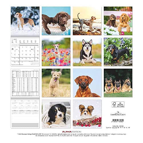 Hunde 2024 - Broschürenkalender 30x30 cm (30x60 geöffnet) - Kalender mit Platz für Notizen - Dogs - Bildkalender - Wandkalender - Hundekalender