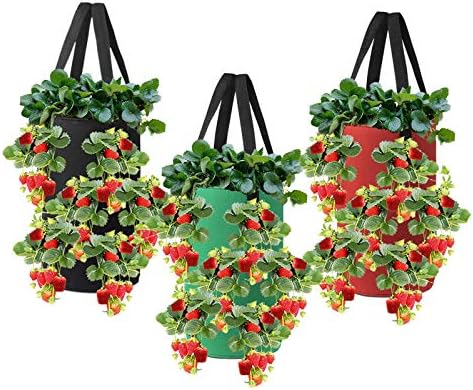 Nicheo 3 Pcs 3 Gallon Hanging Strawberry Planter Hanging Aeration Planter for Strawberry Tomato and Hot Pepper Strawberry Grow Bag Upside-Down Tomato Planter Vegetable Planting Bags with Holes