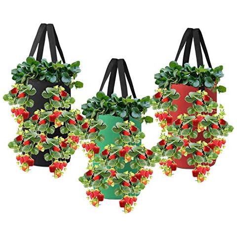 Nicheo 3 Pcs 3 Gallon Hanging Strawberry Planter Hanging Aeration Planter for Strawberry Tomato and Hot Pepper Strawberry Grow Bag Upside-Down Tomato Planter Vegetable Planting Bags with Holes Cover