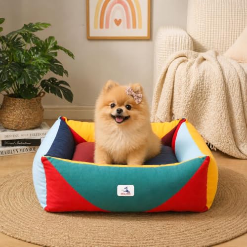 Image of Cotton Canvas Dog Bed (290gsm Thick), 24 inchx20 inchx8 inch Durable Waterproof | Cute Dog Beds for Small Dogs, Orthopedic Bed with Washable Removable Cover, Anti-chewing Pet Bed Anti-Slip Black&White