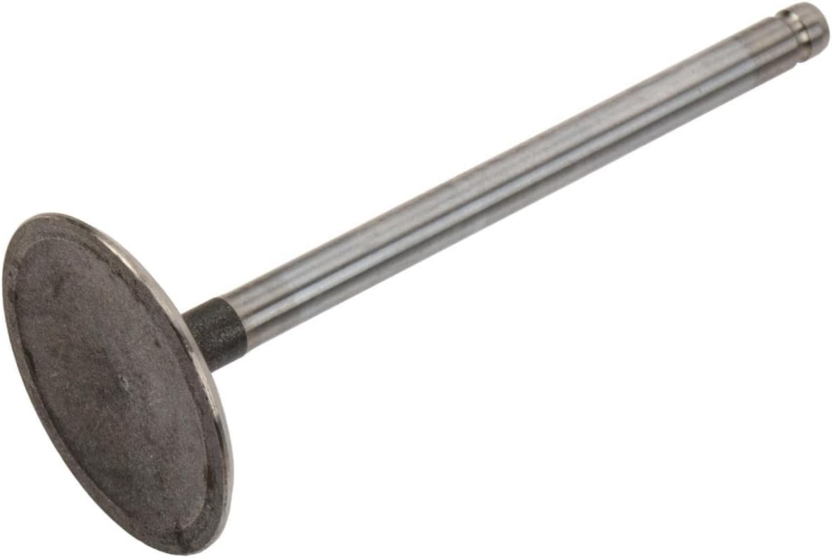GM Genuine Parts 12577696 Engine Intake Valve