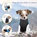 Homieco wasserdichte Hundemantel Jacke, Haustier Winterkleidung Snowproof Wasserdicht, Warme Haustier Jacke Hundejacke Hundepullover für Hunde - Blau