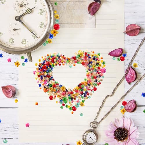 Miniatura 3 de Zocone 280 Piezas Mini Flores Secas Para Resina Multicolor Naturales Flores Secas Manualidades Pequeñas Con Caja Para Resina Epoxi Margaritas Decoracion Para Bricolaje Epoxi
