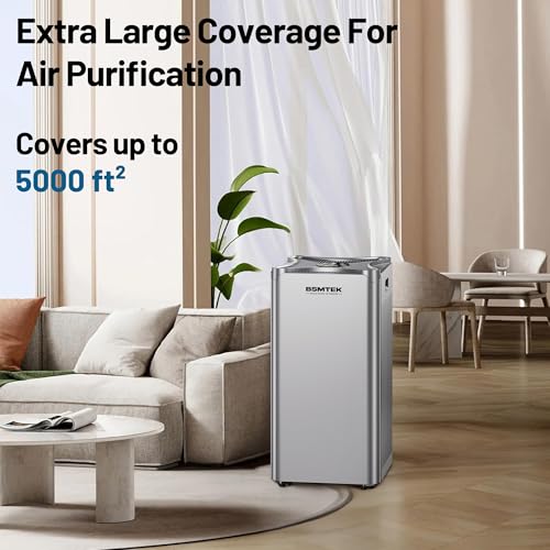BSMTEK Whole Home Air Purifier