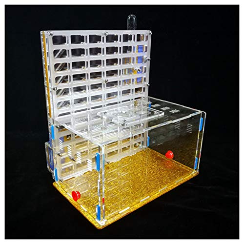 Formicarium grand format nid de fourmis acrylique avec réservoir eau intégré