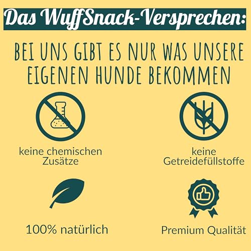 Rinderdörrfleisch für Hunde | 1 kg | Dörrfleisch Hund | 100% Rind | natürliches und getrocknetes Rindfleisch | fettarm und proteinreich | Trockenfleisch Rind von Wuffsnacks