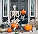 Daricano Halloween Skeleton Decoration, 2.95ft Full Size Posable Plastic Skeleton, Creepy Spooky Scary Skull Garden Yard Lawn Haunted House Party Graveyard Decor
