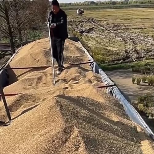 Handheld Grain Sampling Pole, Sectional Design Probe for Agriculture, 2m/2.5m/3m Lengths, Powder & Solid Sample Tube, Ideal for Garden & Farm Use (Dia 38mm / 1.5")