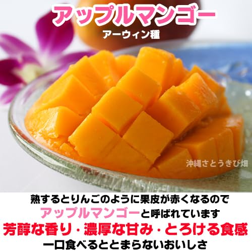 Amazon.co.jp: 複数枝 アップルマンゴー 苗（アーウィン種）接木苗