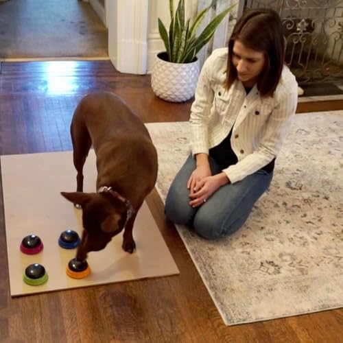 Hunger for Words Talking Pet Starter-Set, aufnahmefähige Tasten für Hunde, Hunde-Sprechtasten, bringen Sie Ihrem Hund das Sprechen bei, Mehrfarbig, 1 Stück (1er Pack), Kunststoff