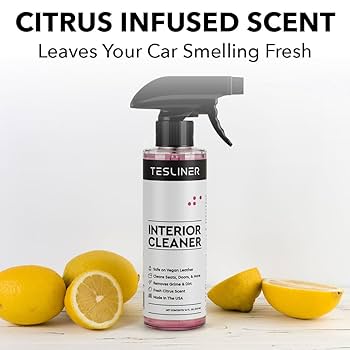 Amazon.com: Tesla Seat Cleaner & Stain Remover - Interior