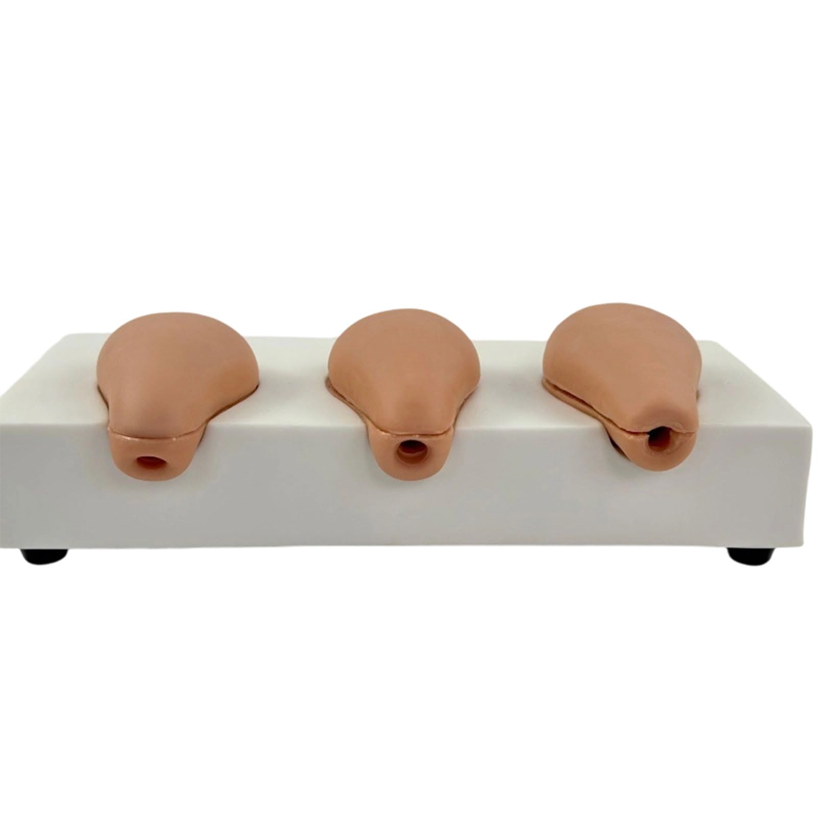 Kit professionale per anatomia uterina, strumento di texture in PVC per lo sviluppo delle abilità chirurgiche, strumenti di allenamento ginecologici