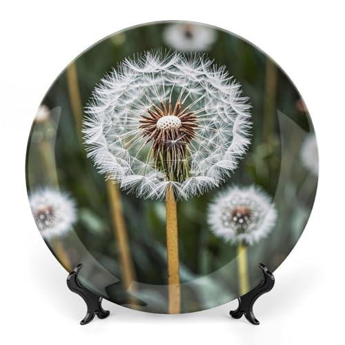 Plato decorativo de porcelana hueso blanco 6 pulgadas miniatura 1