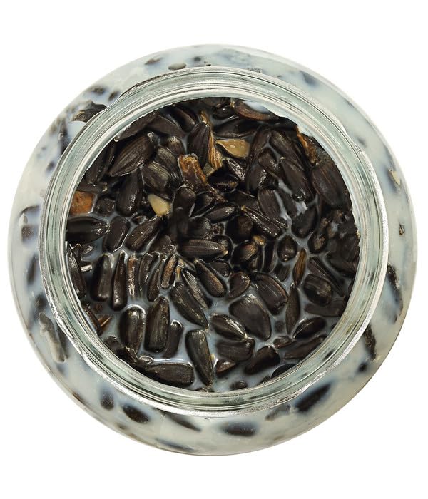 Dehner Natura Premium Wildvogelfutter, Rindertalg im Glas, Sonnenblumenkerne, Ganzjahresfutter energiereich / zuckerfrei, hochwertiges Vogelfutter für Wildvögel, 8 x 250 g (2 kg)