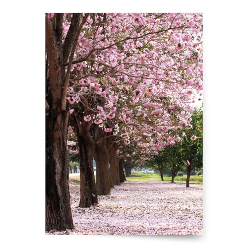 Designer Greetings For Your Words, Blank Cards, Cherry Blossom Trees (Pack of 6 Cards with Envelopes)