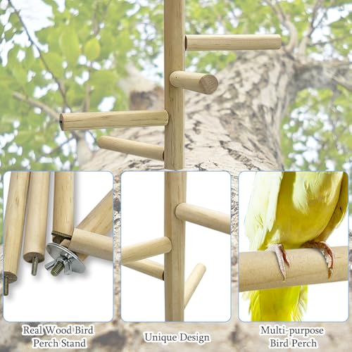 Image of Hamiledyi Bird Perch Stand Toy Natural Wood Perch Stand Birds Toys Parakeet Toy with Rotating Balls Spinning for Parakeets Cockatiels Conures Budgies Finches Love Birds