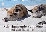 Schwimmende Schweine auf den Bahamas! (Wandkalender 2018 DIN A3 quer): Glückliche Schweine haben immer Urlaub! (Monatskalender, 14 Seiten ) (CALVENDO Orte) [Kalender] [Apr 01, 2017] Stanzer, Elisabeth - Elisabeth Stanzer