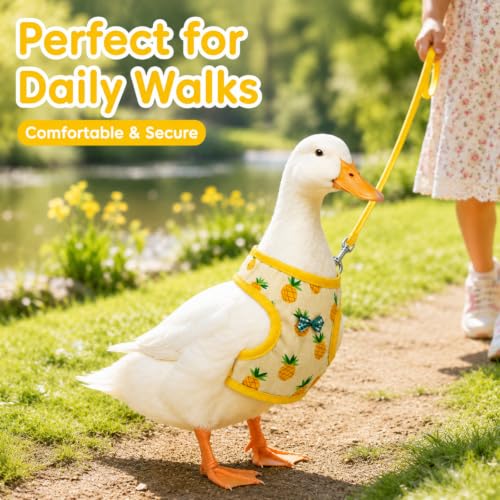 Chaleco de pollo elástico y cómodo para pasear gallinas sin tirones en el cuello 6