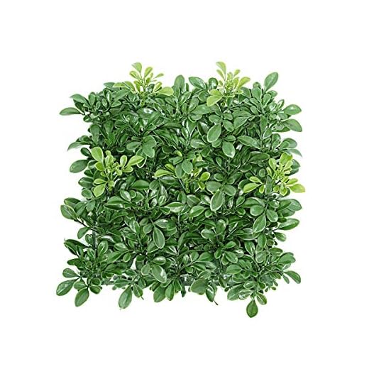 hourseat Artificial Boxwood Hedges Panels, 20" x 20" Faux Plant Ivy Fence Wall Cover, Outdoor Privacy Fence Screening Garden Decoration - 8 Pack