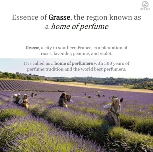 Miniatura 7 de Bullsone - Paquete de 2 difusores naturales para automóvil, perfume de coche de lujo, tipo clip de ventilación, aroma a mora y cereza