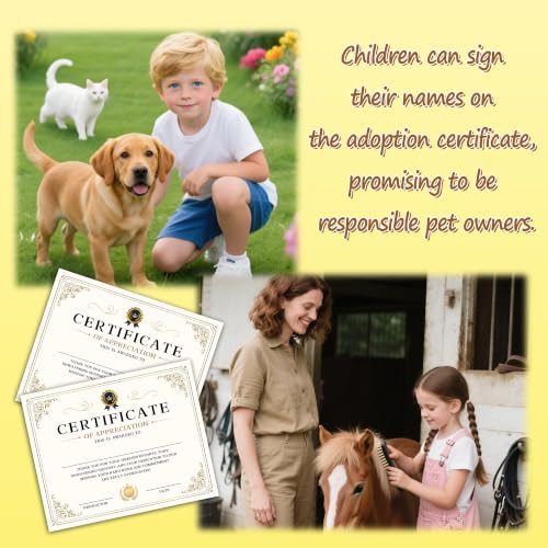 Image of Certificate of Appreciation -25pcs, Certificates of Recognition-A34