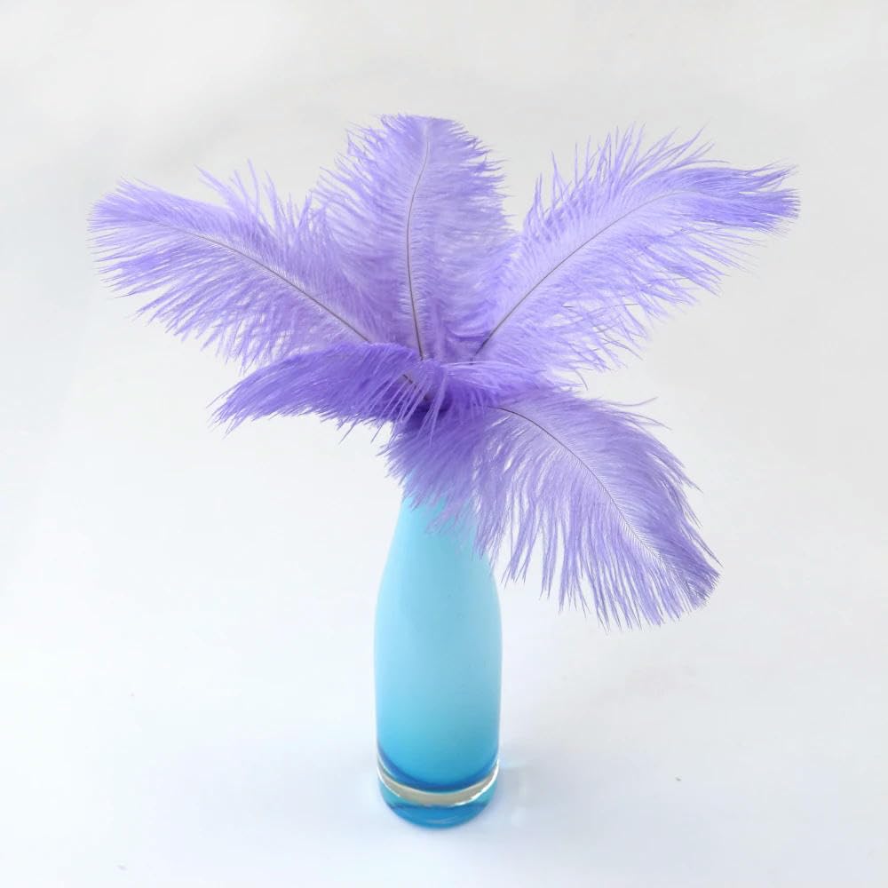 10 pz/Lotto Piume di Struzzo Colorate per Gioielli Fai da Te Piume per Matrimonio Festa centrotavola Creativo Artigianato