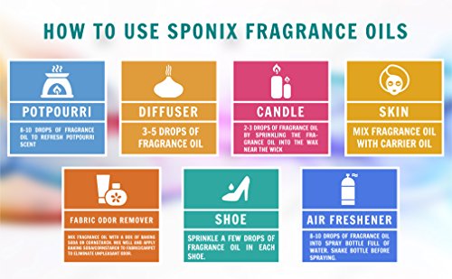 Best Violet Fragrance Oil - Top Scented Perfume Oil - Premium Grade - 10 mL by Sponix