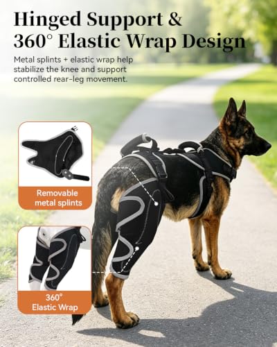 Image of Adjustable Support Dog ACL Brace Hind Leg,Both Leg-Upgraded-Custom