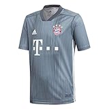 100% Polyester adidas Kinder Trikot 18/19 FC Bayern 3rd, raw Steel/Utility Blue/White, 152, DP5451