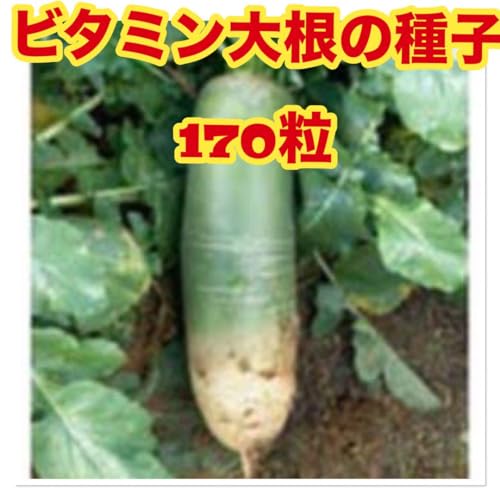 r^~卪̎ 170