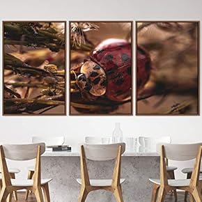 signwin 3 Piece Framed Canvas Wall Art Colorful...