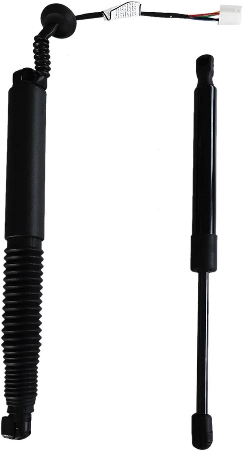 赤い椿の花 日本画 斎藤三郎(初代陶斎)色紙 浅野天鐘「椿」