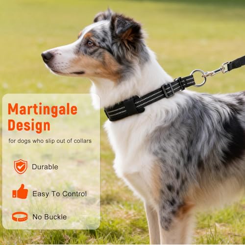 Ledeak Martingale Hundehalsband, Hundehalsband Zugstopp für Mittelgroße & Große Hunde, Zughalsband mit Stopp für Hunde, Trainingshalsband für Training & Spaziergänge (Rosa, L)