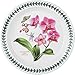Portmeirion Exotic Botanic Garden 8.5