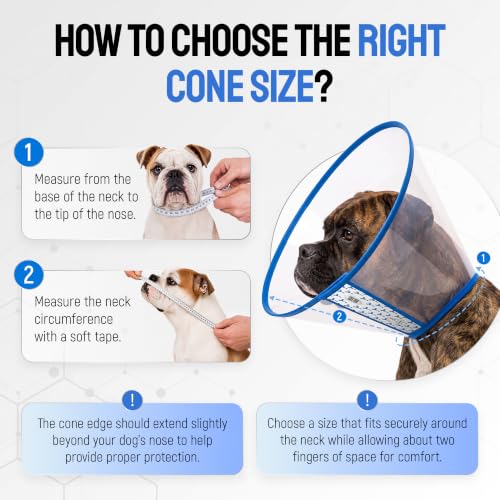 Image of SILVER GRADE Dog Cone Collar for Recovery, Size XL, Neck Girth 16.1-18.9 in