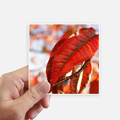 Autocollant feuille d'érable rouge 10cm pour masquer les rayures de pc
