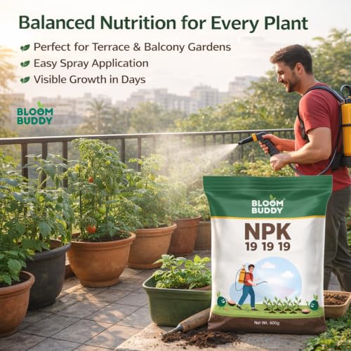 Image of BloomBuddy NPK 19:19:19 Fertilizer for Plants | Water Soluble All-Purpose Plant Food for Growth, Flowering & Fruiting | Indoor & Garden Plants | 400g Each (Pack of 2) | Total 800g