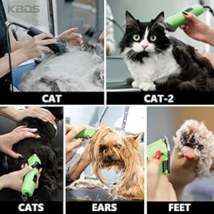 Detachable-Ceramic-Pet-Clipper-BladesSize-10-Blade-Compatible-with-Most-AndisOsterWahl-A5-ClippersMade-of-Ceramic-Blade-Cutter-and-Carbon-Steel-Blade116-Inch-15mm-Cut-Length - Cucciolini Doodles   Detachable-Ceramic-Pet-Clipper-BladesSize-10-Blade-Compatible-with-Most-AndisOsterWahl-A5-ClippersMade-of-Ceramic-Blade-Cutter-and-Carbon-Steel-Blade116-Inch-15mm-Cut-Length