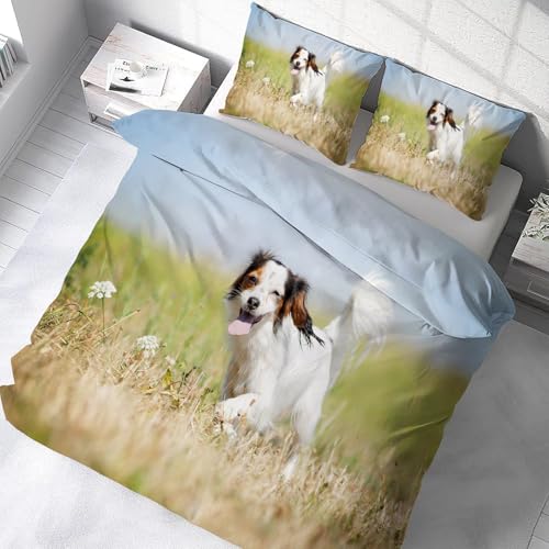 Housse de couette 220x240 avec fermeture éclair parure lit microfibre